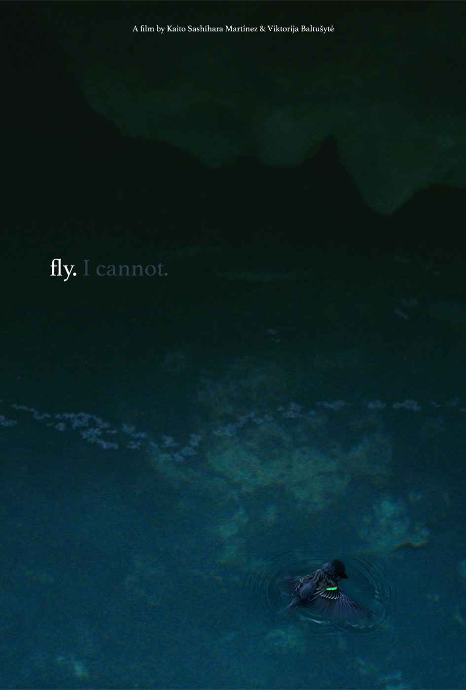 fly. I cannot., a film by Kaito Sashihara Martínez and Viktorija Baltušytė